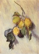 Claude Monet Branch from a Lemon Tree oil on canvas